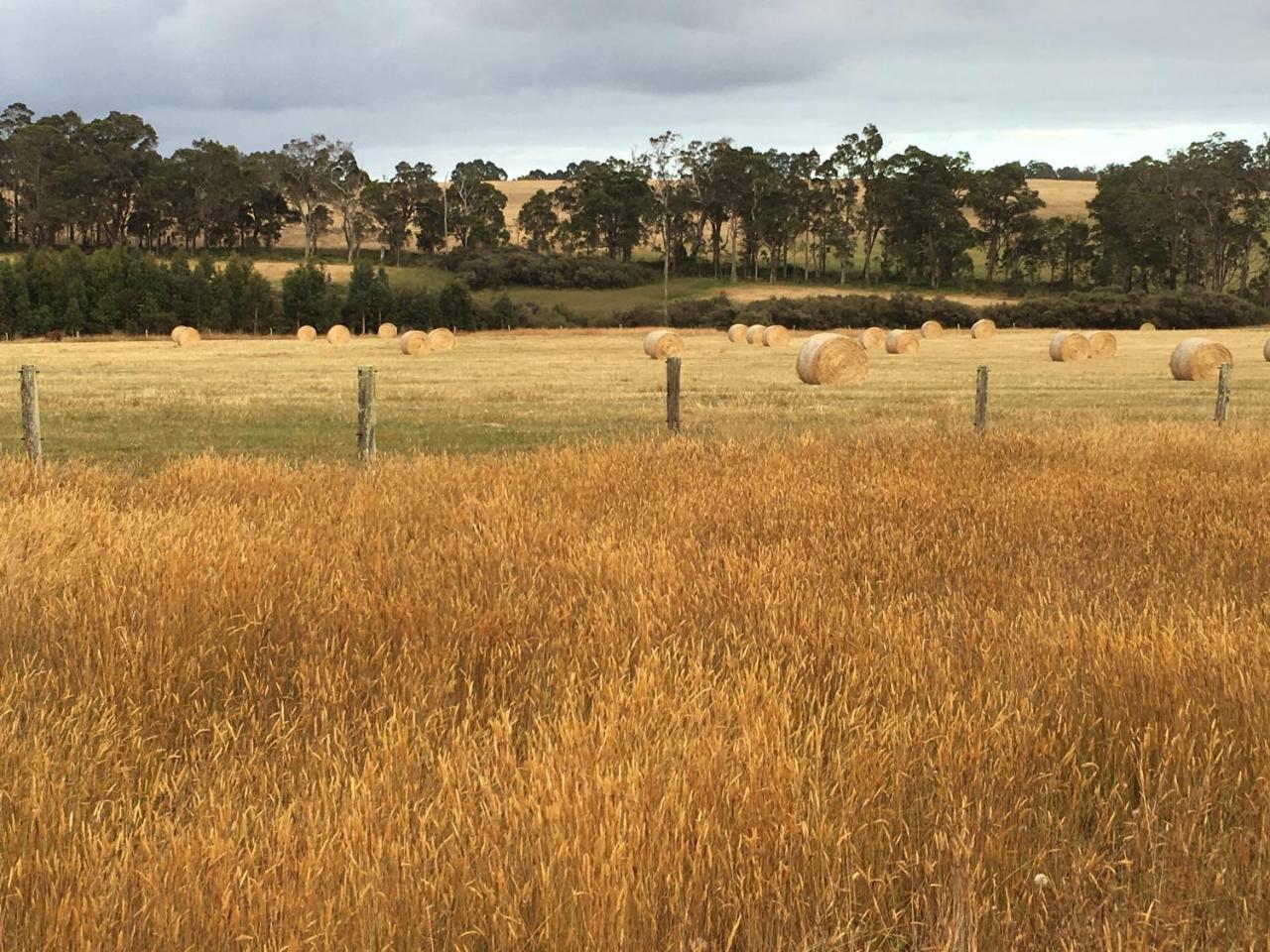Margaret River Farmhouse Rosa Glen Exterior foto